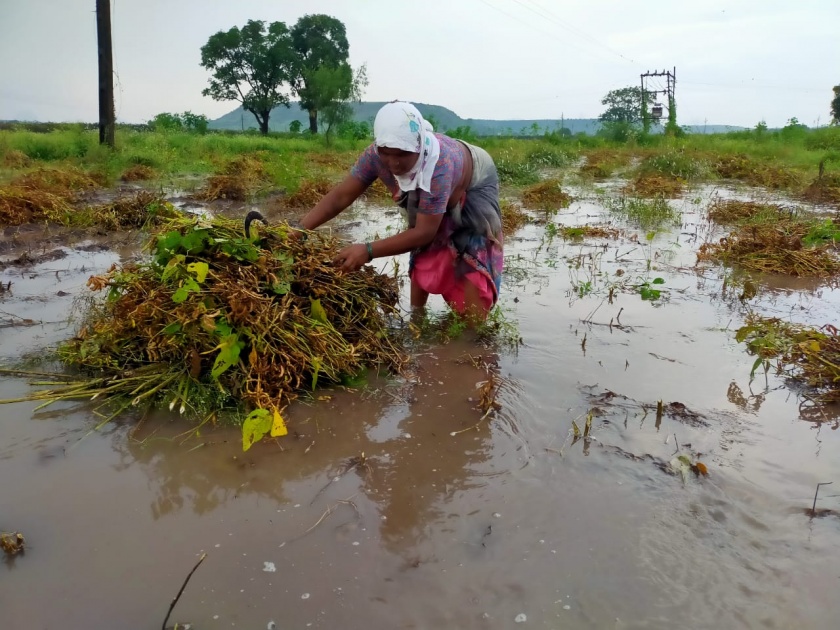 Khedgaon and Shindwad were hit by heavy rains | खेडगाव व शिंदवडला पावसाने झोडपलं पोगा अवस्थेतील बागा संकटात