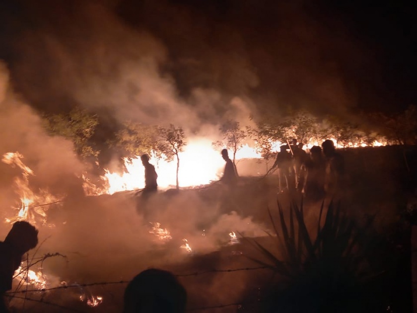 Hundreds of trees were destroyed in a forest fire in Nandgaon | नांदगावी जंगलाला लागलेल्या भीषण आगीत शेकडोे वृक्ष खाक