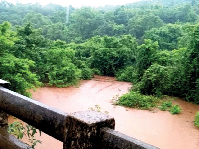 Water tumble may cause danger to Aarera bridge in Kharepatan | पाणी तुंबल्याने खारेपाटण येथील आवेरा पुलाला धोका
