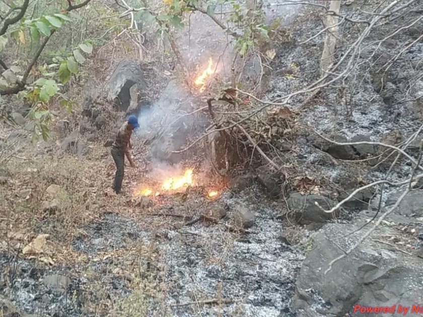 Fire erupts in Vargavan area of Satpuda for 20 hours ... | सातपुड्यातील वरगव्हाण हद्दीत २० तासांपासून वणव्याचा भडका...