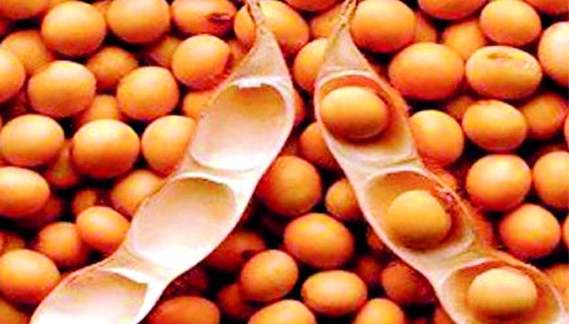 Mahabeej soybeans became more expensive as the government did not provide subsidy | शासनाने अनुदान न दिल्याने महाबीजचे सोयाबीन महागले