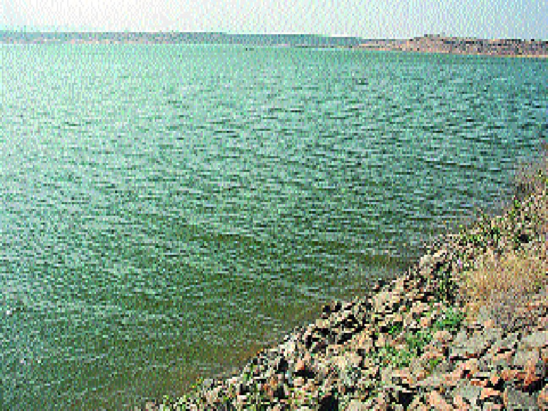 Survey will be done to bring 'water from Krishna valley' to Manjra - Sangeeta Thombre | कृष्णा खोऱ्यातील पाणी ‘मांजरा’त आणण्यासाठी सर्वेक्षण होणार -संगीता ठोंबरे