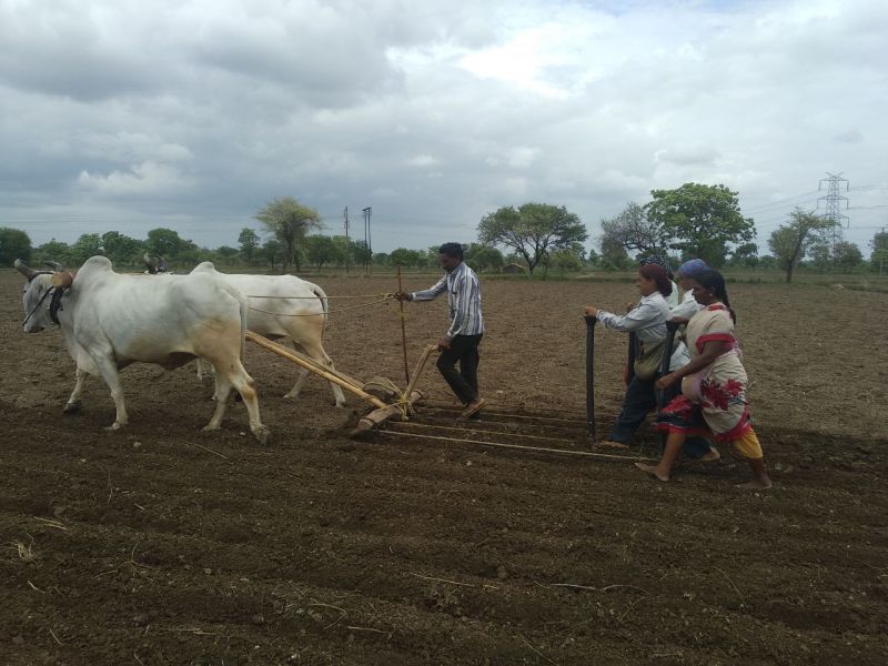 Successful use of 'Pokhra' scheme in Yavatmal district | यवतमाळ जिल्ह्यात ‘पोखरा’ योजनेचा प्रयोग यशस्वी