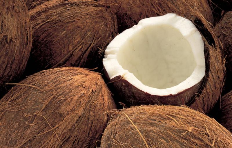 World Coconut Day; Learn some fun things about coconut .. | जागतिक नारळ दिन; जाणून घ्या नारळाबाबतच्या काही मजेशीर बाबी..