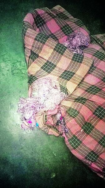 No single bedsheet for four years has been received for the government hostel in Nagpur | नागपुरातील शासकीय वसतीगृहाला चार वर्षात एकही चादर मिळाली नाही