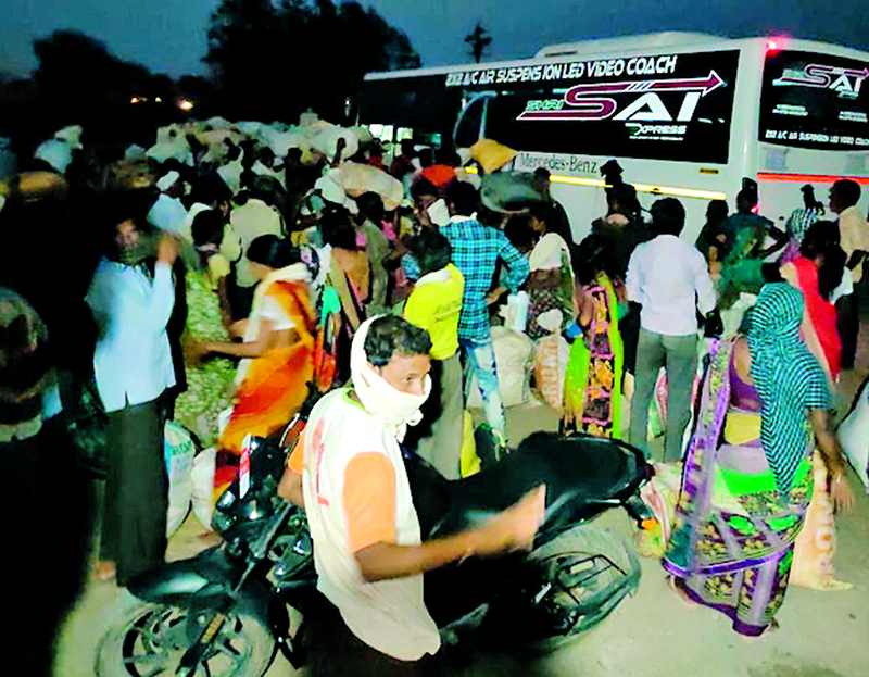 Lockdown News: Free bus service to Karnataka for laborers to go to the village | Lockdown News: मजुरांना गावी जाण्यासाठी कर्नाटकमध्ये मोफत बससेवा