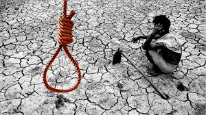 Suicide of Most Farmers in Malegaon | मालेगावला सर्वाधिक शेतकऱ्यांच्या आत्महत्या