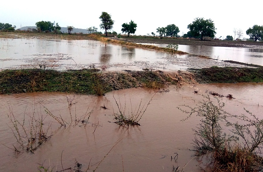 Rainfall of rainfall in different parts of Jalna district | जालना जिल्ह्याच्या विविध भागात पावसाची हजेरी