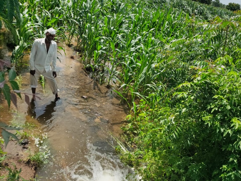 Damage to agriculture due to heavy rains in Meshi area | मेशी परिसरात जोरदार पावसाने शेतीचे नुकसान