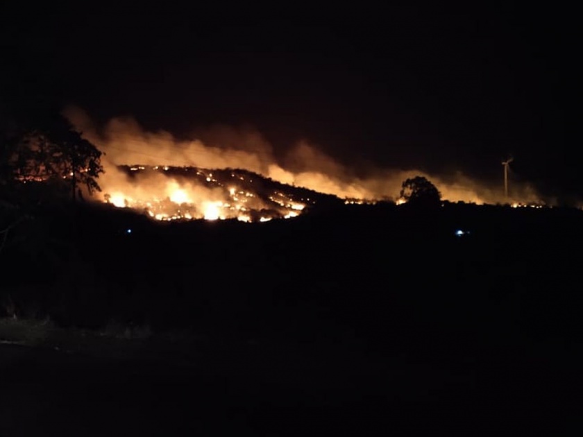 Burn 300 hectares of forest near Thane | ठाणेपाडालगतचे ३०० हेक्टर जंगल जळून खाक