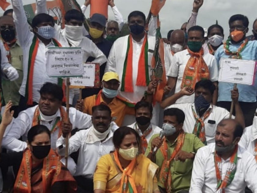 BJP's milk agitation on Mumbai-Agra highway | मुंबई आग्रा महामार्गावर भाजपचे दुध आंदोलन