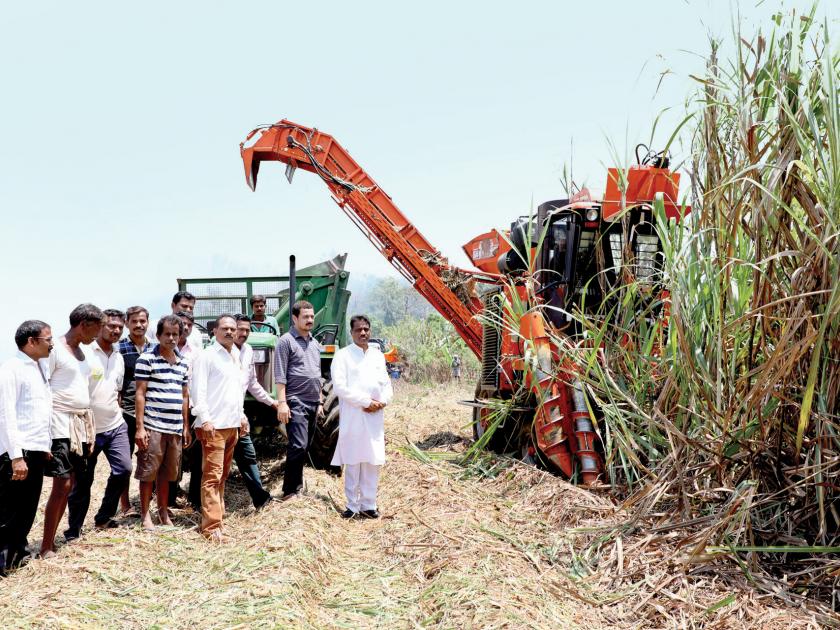 Sindhudurg: Successful trial of the sugarcane trough of sugarcane machine, Sindhudurg back, D. Y Attempts of Patil factory | सिंधुदुर्ग : ऊस तोडणी यंत्राची मसुरेत यशस्वी चाचणी, सिंधुदुर्ग बॅक, डी. वाय. पाटील कारखान्याचे प्रयत्न