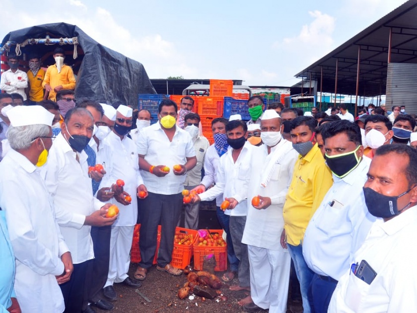 Tomato auction starts in Pandhurli sub-market | पांढुर्ली उपबाजारात टोमॅटो लिलावास प्रारंभ