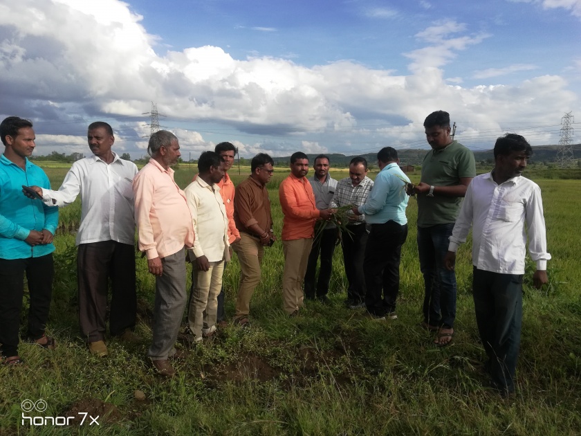 In the course of time, the tehsildar inspected the damaged fields | वेळुंजेत तहसीदारांनी केली नुकसान झालेल्या शेतीची पाहणी