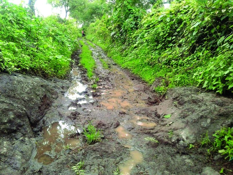 WASHIM district farmers step in mud | वाशिम जिल्ह्यातील शेतकऱ्यांची पाऊलवाट रुतली चिखलात!
