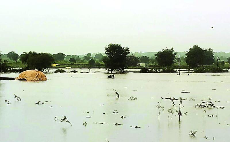 Heavy Rain in washim ; Rivers, irrigation projects! | पावसामुळे दाणादाण; नद्या, सिंचन प्रकल्प तुडूंब!
