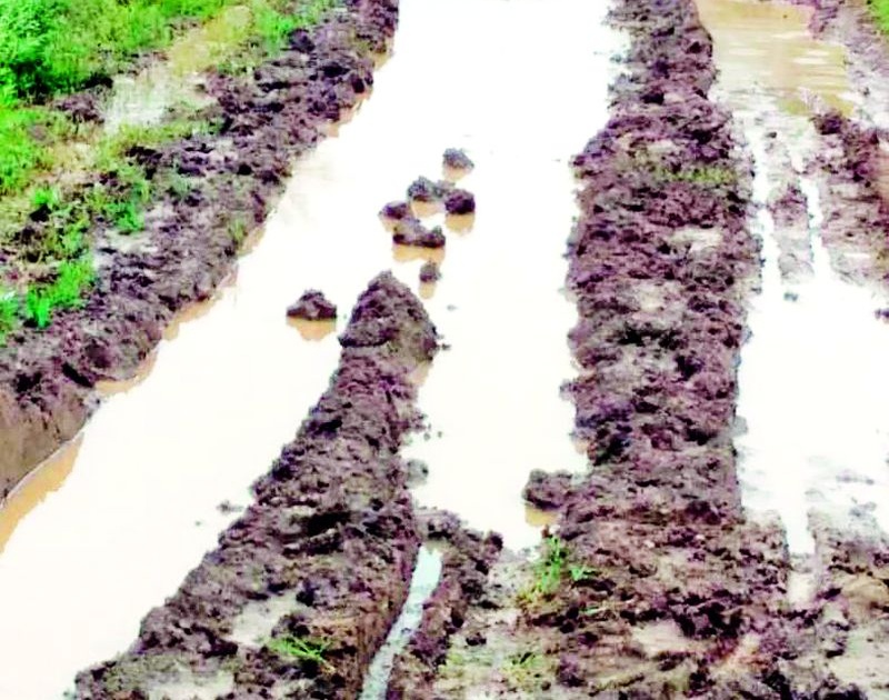 Farmers are in trouble due to the roads | रस्त्यामुळे शेतकरी अडचणीत