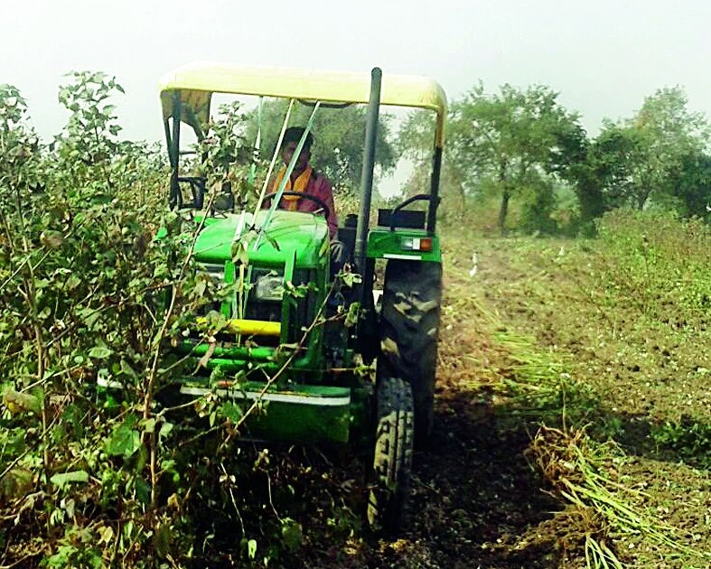  Tractor operated by farmers on Kadashi | शेतकऱ्यांनी कपाशीवर चालविला ट्रॅक्टर