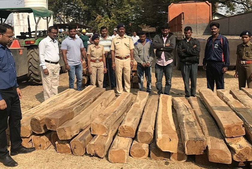 Three lakhs of teak wood seized in Gadchiroli | गडचिरोलीत तेलंगणात तस्करी होणारे तीन लाखांचे सागवान जप्त