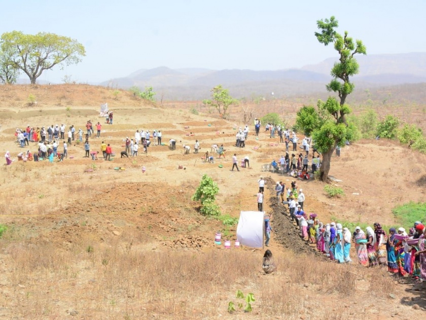 Water cup competation: Eight thousand villagers done water conservation work | Water cup competation : आठ हजार जलमित्रांनी केले महाश्रमदान!