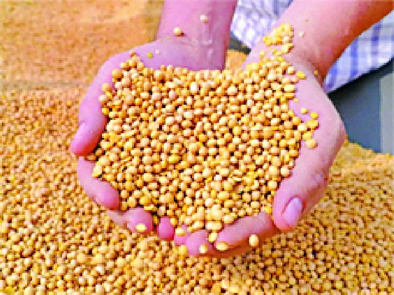 55 crore savings due to home grown seeds | घरगुती बियाण्यांमुळे ५५ कोटींची बचत
