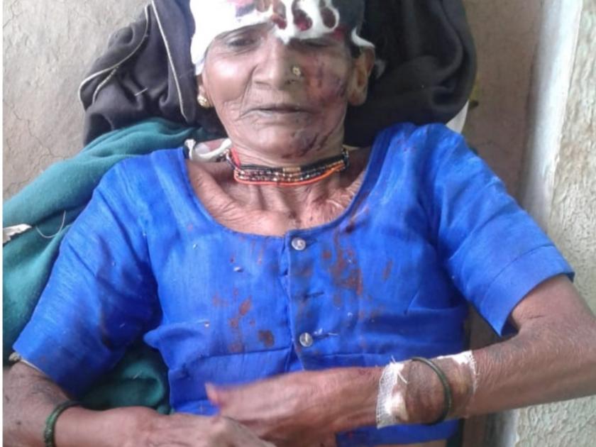 Fatal attack on elderly woman | वृद्ध महीलेवर भरदुपारी बिबट्याचा हल्ला
