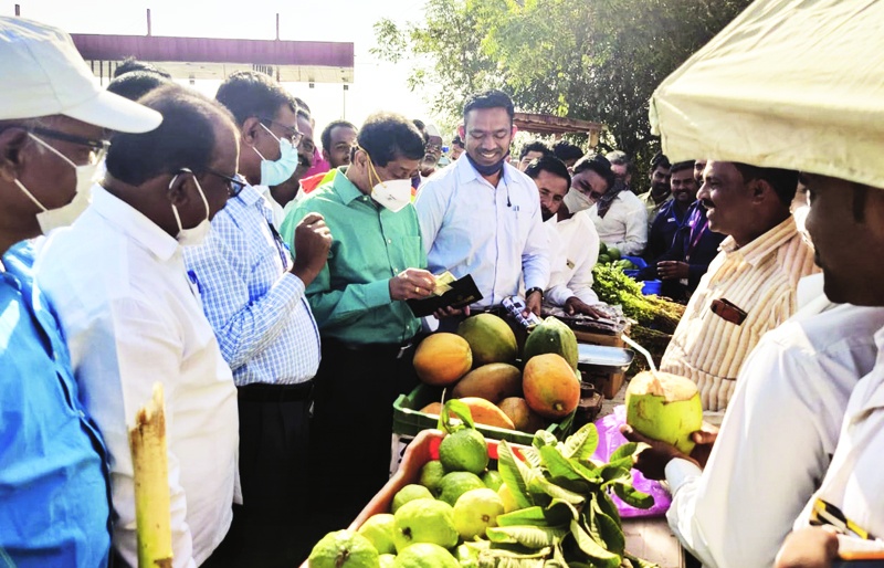 The district collector bought papaya and peru by giving cash to the farmer who refused the money | पैसे नाकारणाऱ्या शेतकऱ्याला रोख पैसे देऊन जिल्हाधिकाऱ्यांनी खरेदी केले पपई अन् पेरू