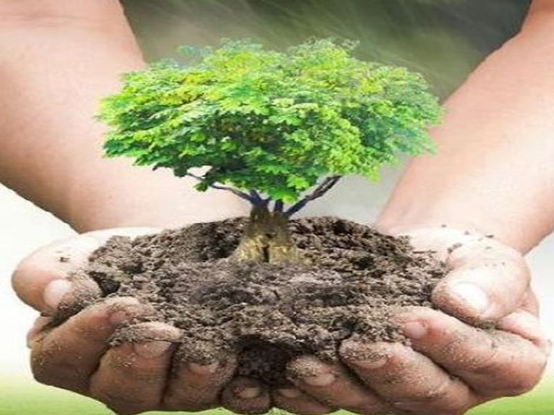 Guardianship of trees accepted by students of Dhule Agricultural College | धुळे कृषी महाविद्यालयातील विद्यार्थ्यांनी स्वीकारले झाडांचे पालकत्व