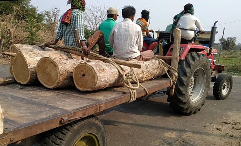 Eight tractors of teak wood material seized in Gadchiroli district | गडचिरोली जिल्ह्यात आठ ट्रॅक्टर सागवानाचे साहित्य जप्त