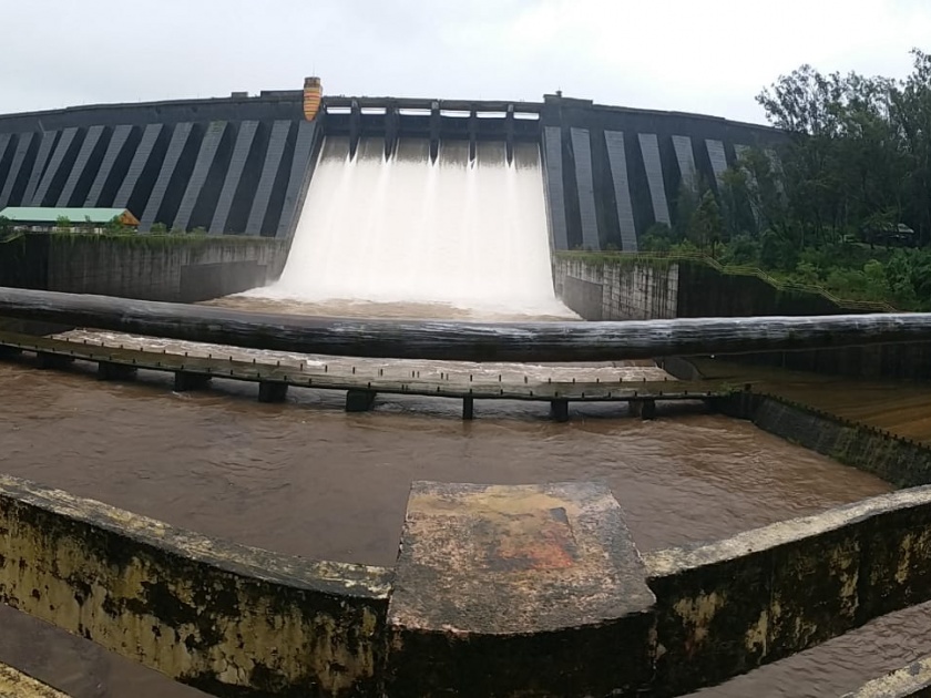 Rainfall in Koyna Dam area, call for alert people along river banks | कोयना धरण परिसरात अतिवृष्टी, 99 टक्के भरले, सतर्क राहण्याचे आवाहन