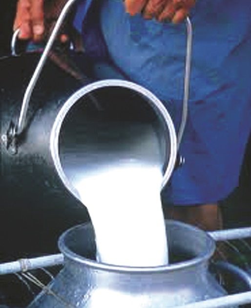 Three million liters reduction in milk production | दूध उत्पादनामध्ये तीन लाख लिटरची घट
