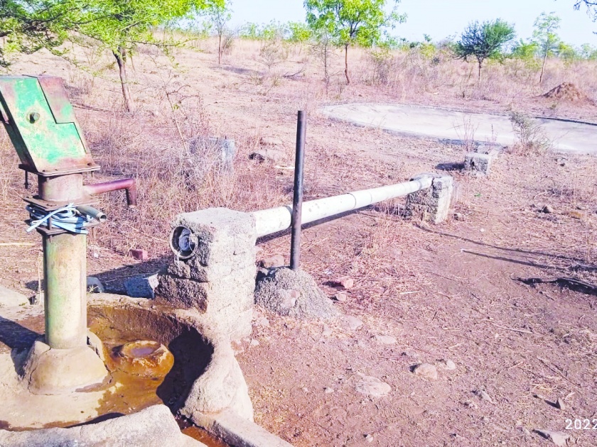 Animals endangered; The water in Nannaj Sanctuary is dry without water | पशुपक्ष्यांचा जीव धोक्यात; नान्नज अभयारण्यातील पाणवठे पाण्याविना कोरडे
