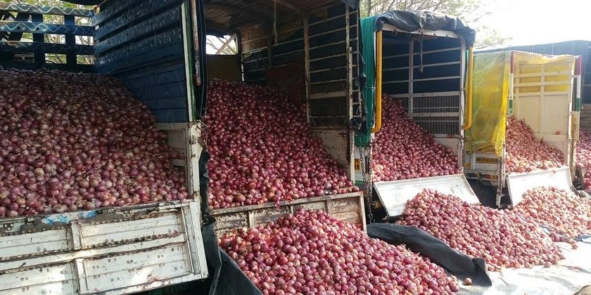 Onion fell by Rs 1,320 in Pimpalgaon market | पिंपळगाव बाजार समितीत कांदा १३२० रुपयांनी घसरला