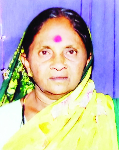 Father Ray; Mother kills mother with gas cylinder in head; Incident in Solapur | बाप रे; गॅस सिलिंडर डोक्यात घालून मुलाने केला आईचा खून; सोलापुरातील घटना