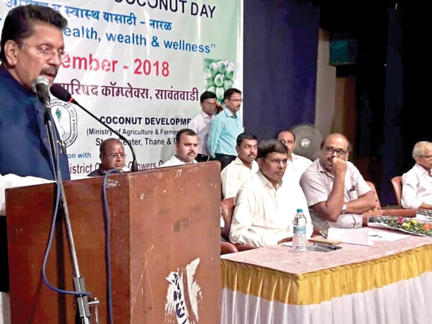 Deepak Kesarkar to set up maternal coconut nursery in Sindhudurg district: | सिंधुदुर्ग जिल्ह्यात मातृवृक्ष नारळाची नर्सरी उभारणार : दीपक केसरकर