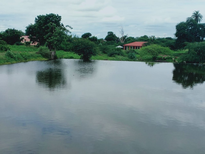 Dams in Nandurshingote area | नांदूरशिंगोटे परिसरातील बंधारे तुडुंब