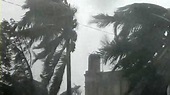 Nature cyclonic storm in Thane district: disaster avoided | ठाणे जिल्ह्याला निसर्ग चक्री वादळाचा चकवा: सकंट टळले