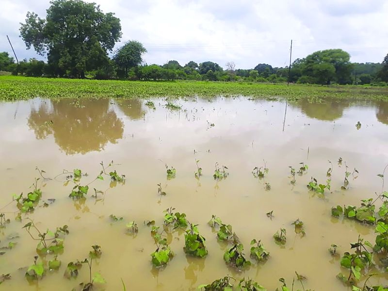 Heavy rains hit more than 500 acres | ५०० एकरहून अधिक क्षेत्राला अतिवृष्टीचा फटका