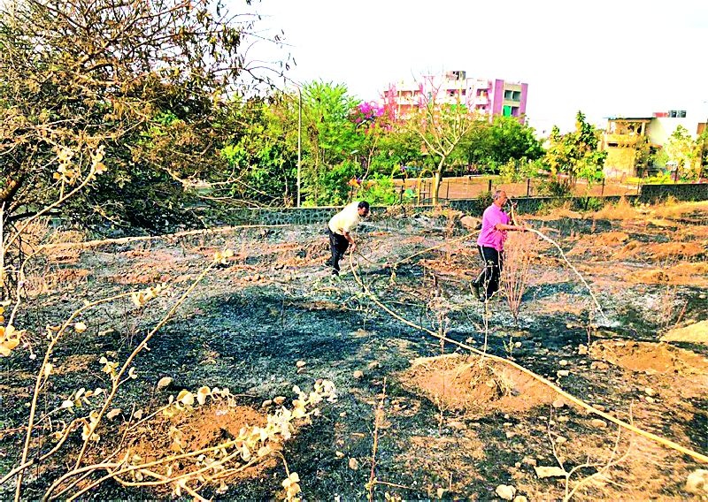 Fire damage to 400 trees | आगीची ४०० झाडांना झळ