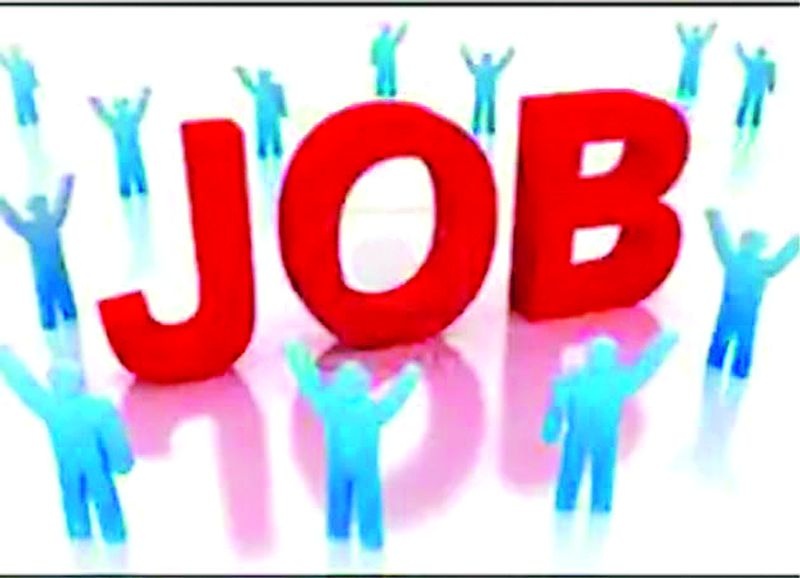Employment of 3,652 persons in the district | जिल्ह्यात ३,६५२ व्यक्तींना रोजगार