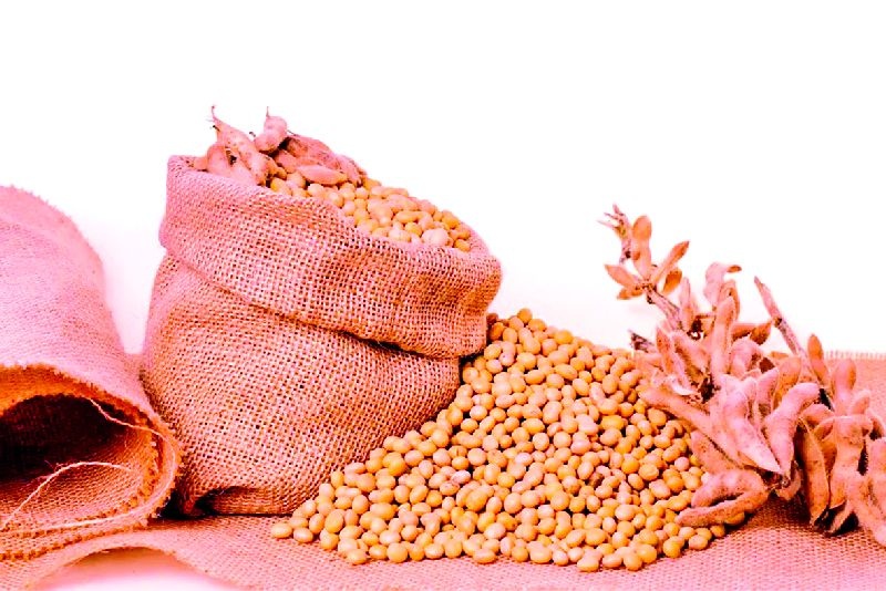 Marketing Corporation will procure soybean at the rate of 3,880 per quintal | पणन महामंडळ घेणार ३,८८० प्रतिक्विंटल दराने सोयाबीन