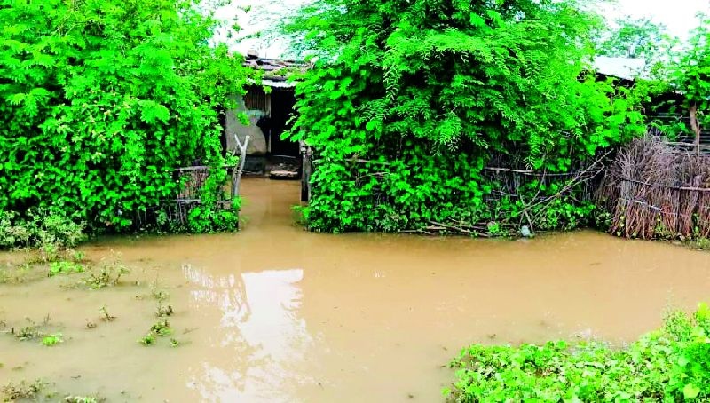 Heavy rains in the district, relief to crops | जिल्ह्यात पावसाची दमदार हजेरी, पिकांना दिलासा