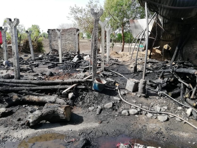 fire to house of farmer in Sasti | सस्ती येथे शेतकऱ्याच्या घर व गोठ्याला आग; गोऱ्हा ठार 