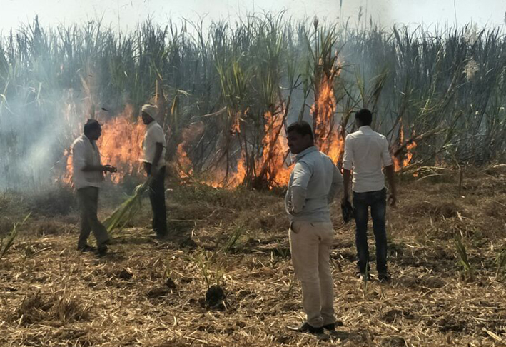 Sparking 12 acres of sugarcane | अंबाजोगाई तालुक्यातील पाटोदा शिवारात स्पार्किंगमुळे १२ एकर ऊस खाक