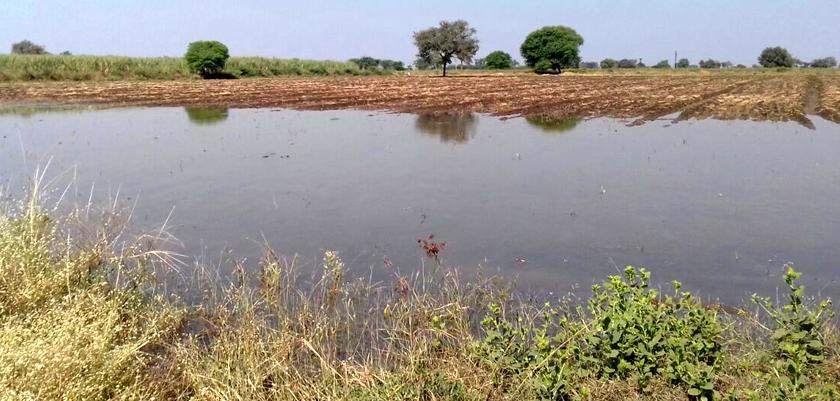 Failure to get into Maljgat; Waste of water | मालजगावात चारी नादुरुस्त; पाण्याची नासाडी