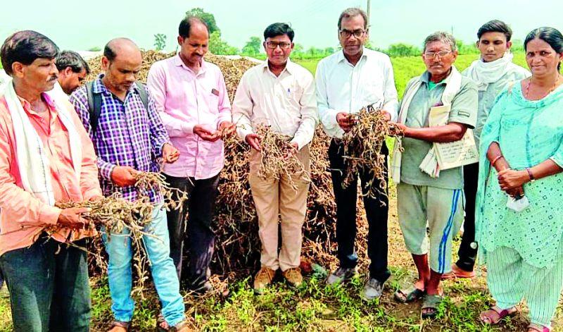 Farmers should register online for seeds on the MahaDBT portal | शेतकऱ्यांनी बियाण्यांसाठी महाडीबीटी पोर्टलवर ऑनलाईन नोंदणी करावी