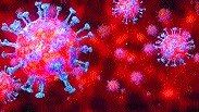 Sinnar taluka has the highest number of 29 corona infections in a single day | सिन्नर तालुक्यात एका दिवसात सर्वाधिक २९ कोरोना बाधित
