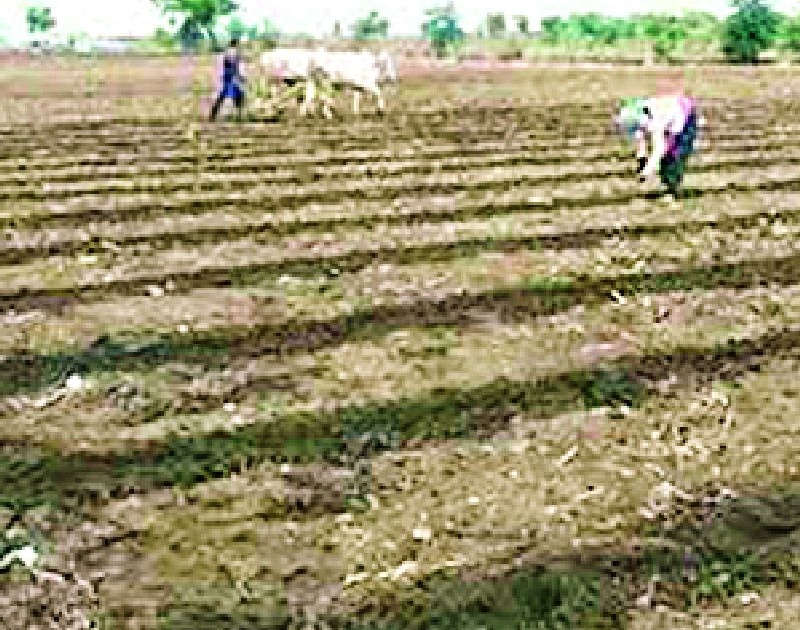 Farmers should not rush for kharif sowing | खरिपाच्या पेरणीसाठी शेतकऱ्यांनी घाई करू नये