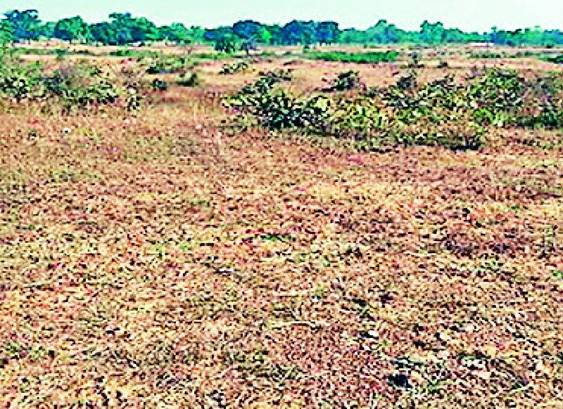 498 Individual claims land without counting | ४९८ वैयक्तिक दाव्यांची जमीन अद्याप मोजणीविना