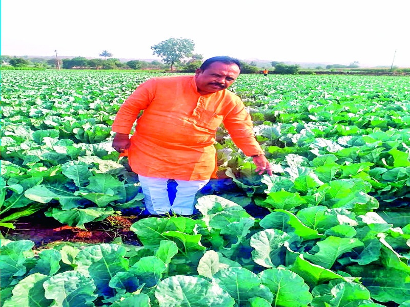 Farmer is great successful due to flower crops ; Turnover of around eight to nine crores rupees | फ्लॉवरमुळे शेतकरी मालामाल ; सुमारे आठ ते नऊ कोटी रुपयांची उलाढाल 